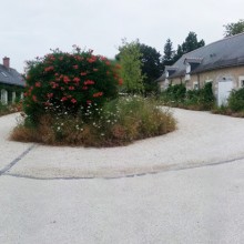 creation jardin zen tours